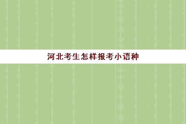 河北考生怎样报考小语种(小语种可以参加高考吗)