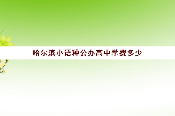 哈尔滨小语种公办高中学费多少(哈尔滨私立高中学校)