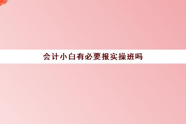 会计小白有必要报实操班吗(会计初级需要报班吗)