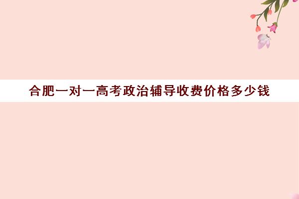 合肥一对一高考政治辅导收费价格多少钱(合肥高中培训机构排名榜)