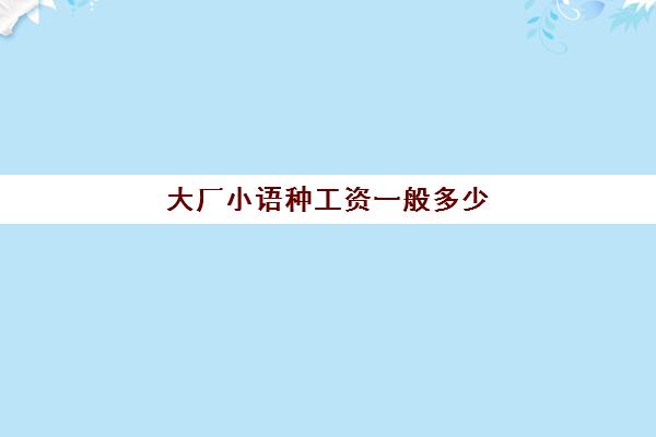 大厂小语种工资一般多少(大厂还是小厂工资高)