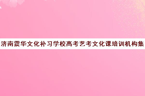 济南震华文化补习学校高考艺考文化课培训机构集训费用多少钱