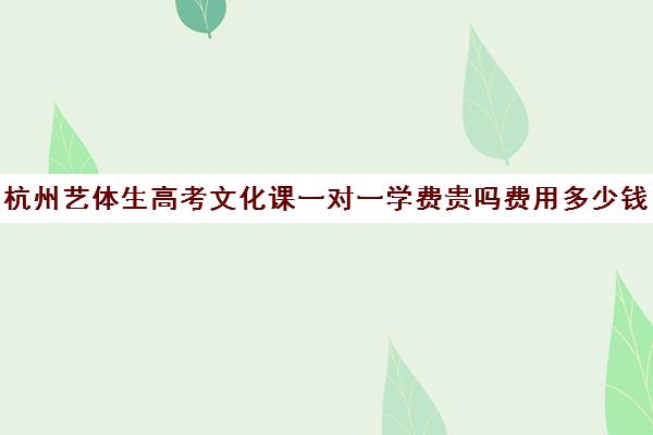 杭州艺体生高考文化课一对一学费贵吗费用多少钱(杭州艺考一般要多钱)