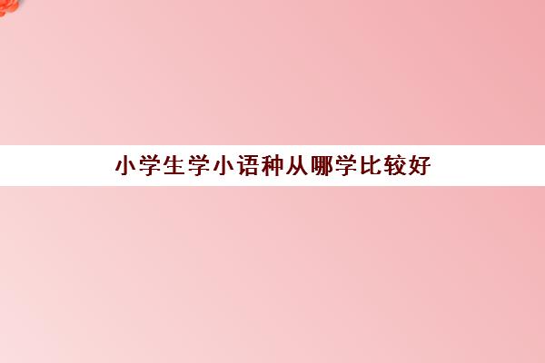 小学生学小语种从哪学比较好(小语种培训班一般多少钱)