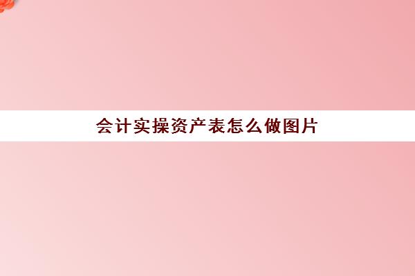 会计实操资产表怎么做图片(会计表格怎么做)