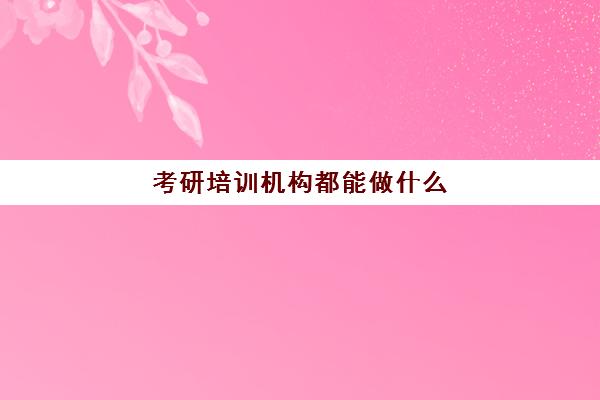 考研培训机构都能做什么(考研出来能干什么)