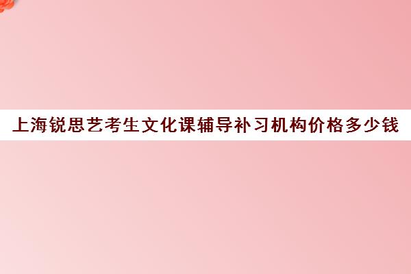 上海锐思艺考生文化课辅导补习机构价格多少钱