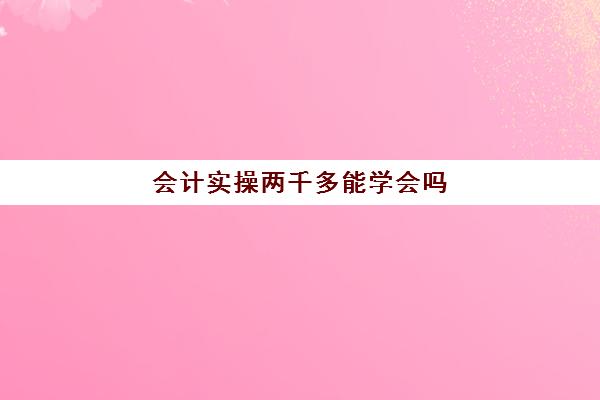 会计实操两千多能学会吗(跟老会计学多久能上手)