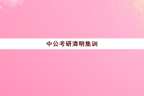 中公考研清明集训(中公考研做得怎么样)