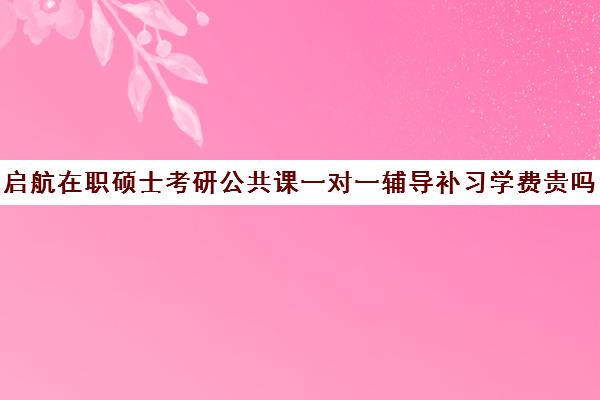 启航在职硕士考研公共课一对一辅导补习学费贵吗