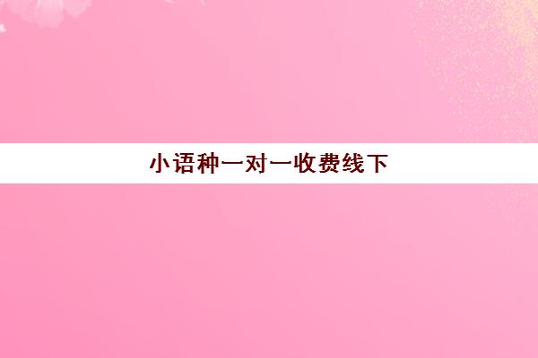 小语种一对一收费线下(学小语种费用高吗)