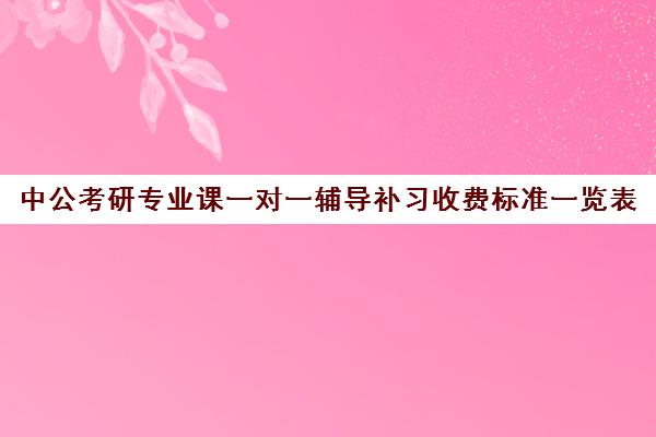 中公考研专业课一对一辅导补习收费标准一览表