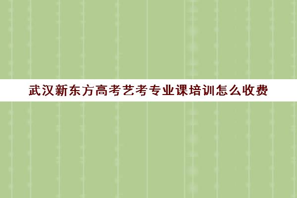 武汉新东方高考艺考专业课培训怎么收费(新东方艺考培训机构官网)