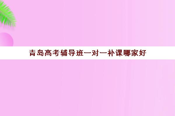 青岛高考辅导班一对一补课哪家好(高考一对一辅导多少钱一小时)