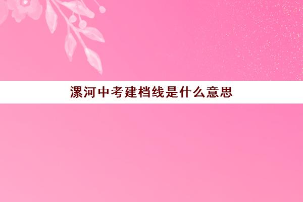 漯河中考建档线是什么意思(中考建档线有什么用)