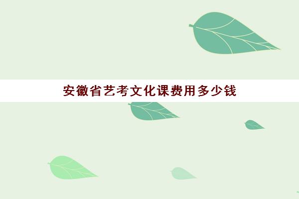 安徽省艺考文化课费用多少钱(安徽省音乐艺考第一名)