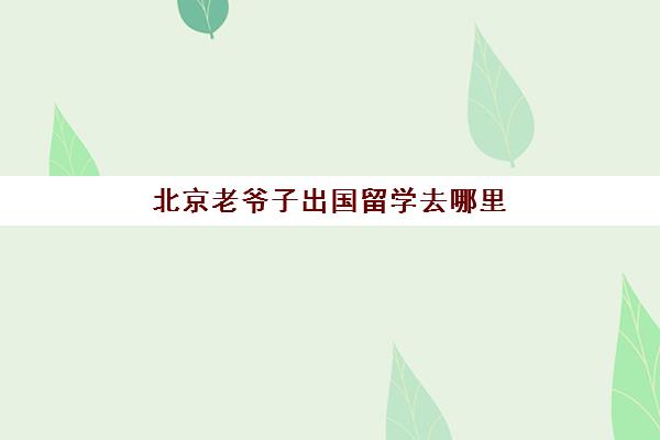 北京老爷子出国留学去哪里(在国外留学一年给北京户口吗)