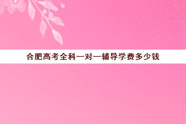 合肥高考全科一对一辅导学费多少钱(合肥高考冲刺全托学校)