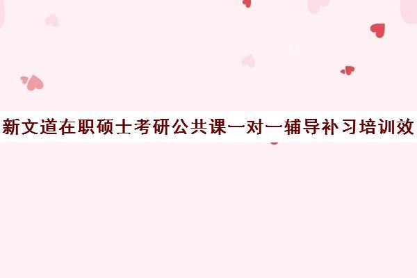 新文道在职硕士考研公共课一对一辅导补习培训效果如何？靠谱吗