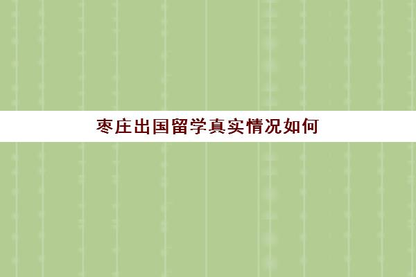 枣庄出国留学真实情况如何(山东理工大学留学生需要什么条件)