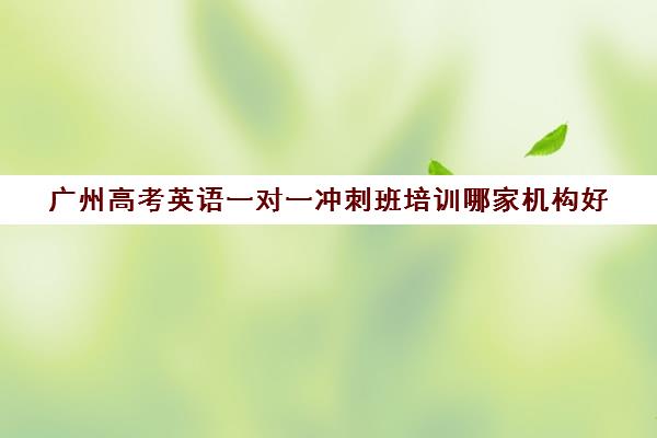 广州高考英语一对一冲刺班培训哪家机构好(高中英语培训机构前十名)