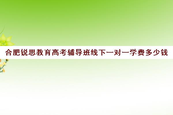 合肥锐思教育高考辅导班线下一对一学费多少钱（合肥比较出名高中辅导班）