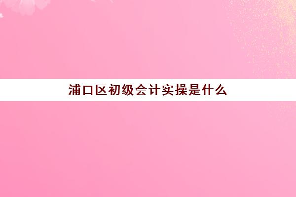 浦口区初级会计实操是什么(初级会计证有用吗)