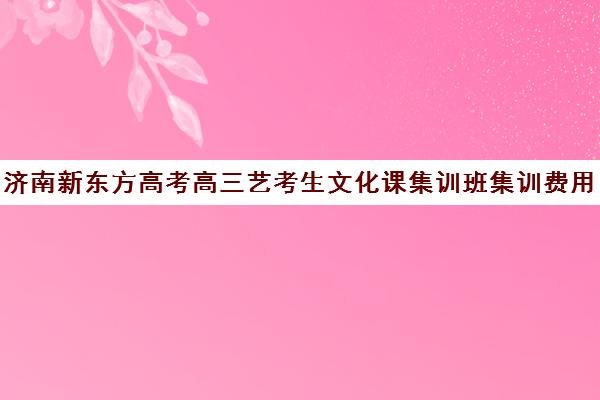 济南新东方高考高三艺考生文化课集训班集训费用多少钱(艺考生文化课分数线)