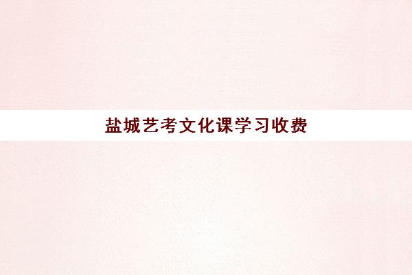 盐城艺考文化课学习收费