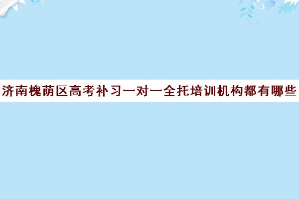 济南槐荫区高考补习一对一全托培训机构都有哪些