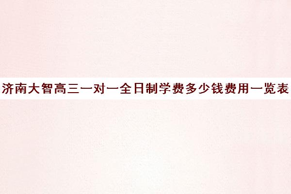 济南大智高三一对一全日制学费多少钱费用一览表(大智教育一对一多少钱)