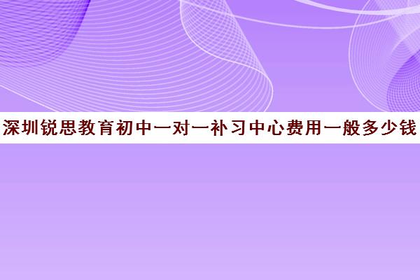 深圳锐思教育初中一对一补习中心费用一般多少钱