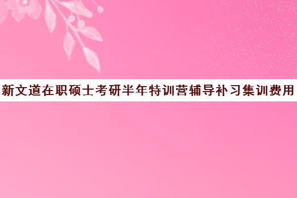 新文道在职硕士考研半年特训营辅导补习集训费用多少钱