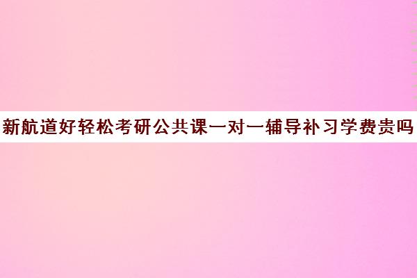 新航道好轻松考研公共课一对一辅导补习学费贵吗