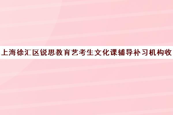 上海徐汇区锐思教育艺考生文化课辅导补习机构收费价格多少钱