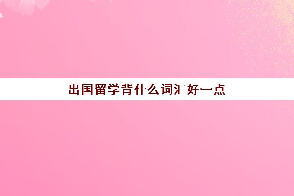 出国留学背什么词汇好一点(出国留学能学到什么)