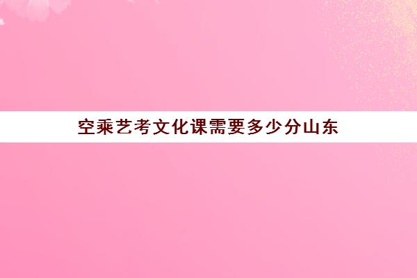 空乘艺考文化课需要多少分山东(空乘艺考好过吗)