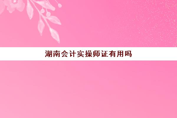 湖南会计实操师证有用吗(会计证书含金量高吗)