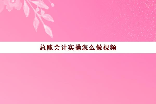 总账会计实操怎么做视频(新手可以做总账会计吗)