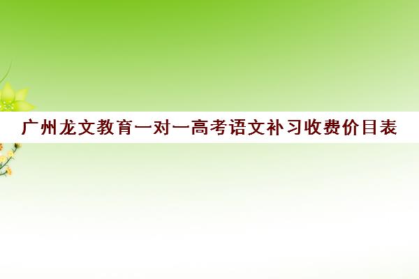 广州龙文教育一对一高考语文补习收费价目表