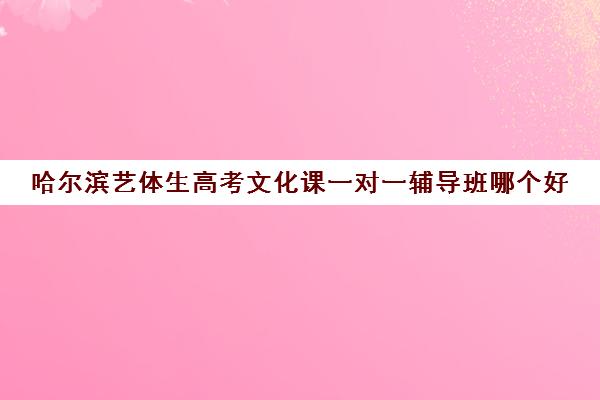 哈尔滨艺体生高考文化课一对一辅导班哪个好(哈尔滨艺考培训机构排名)