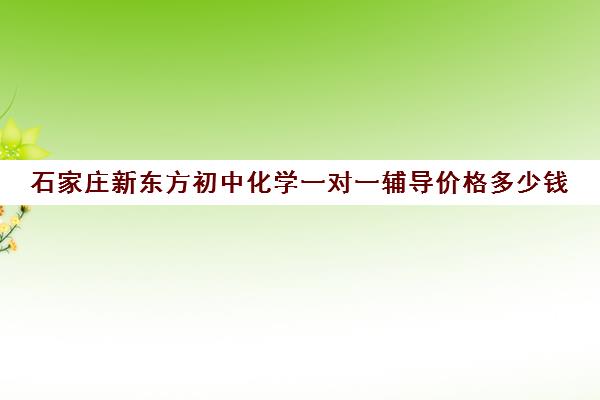 石家庄新东方初中化学一对一辅导价格多少钱(兰州市新东方辅导中心收费标准)