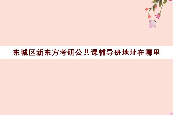 东城区新东方考研公共课辅导班地址在哪里(济南新东方高中辅导班怎么样)