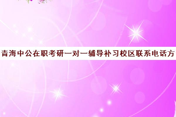 青海中公在职考研一对一辅导补习校区联系电话方式