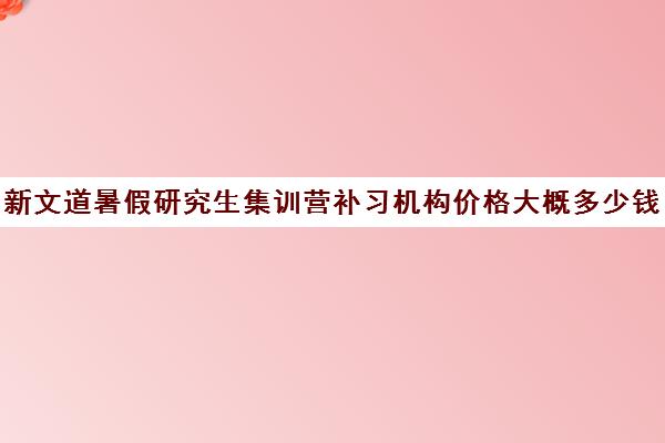 新文道暑假研究生集训营补习机构价格大概多少钱