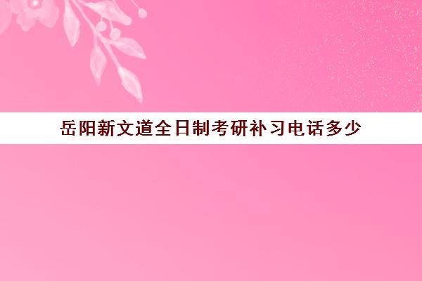 岳阳新文道全日制考研补习电话多少