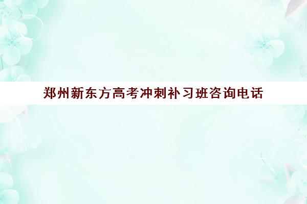 郑州新东方高考冲刺补习班咨询电话