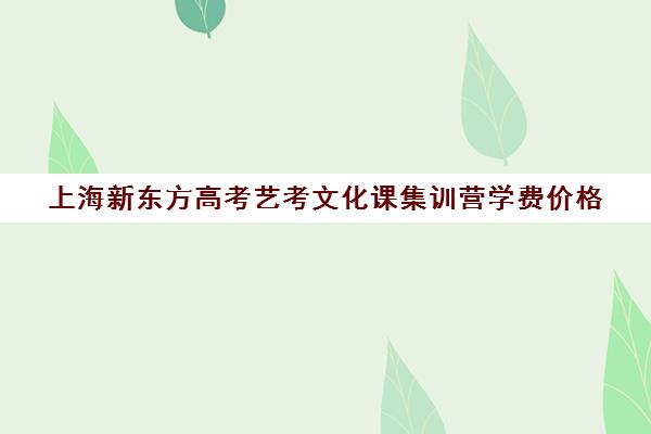 上海新东方高考艺考文化课集训营学费价格(上海艺考培训机构排名)