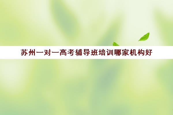 苏州一对一高考辅导班培训哪家机构好(苏州补课机构排行榜)