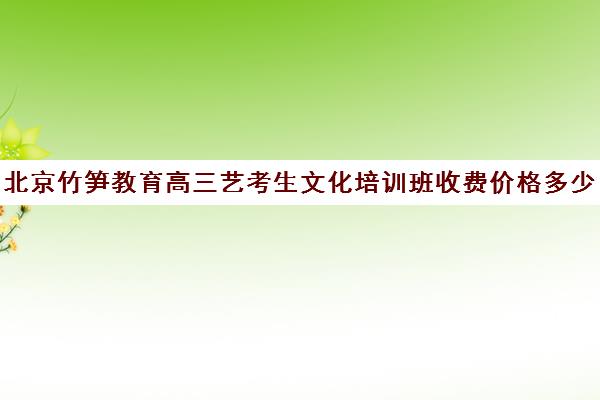 北京竹笋教育高三艺考生文化培训班收费价格多少钱(北京十大艺考培训机构)